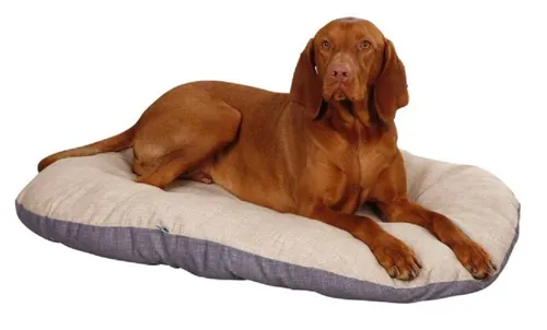 Kerbl Pet 80359 Liegekissen Loneta in braun von Kerbl