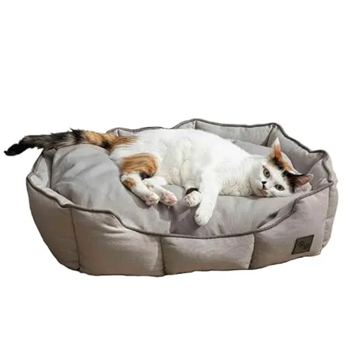 ENGLISH HOME Katzenbett, Katzenbetten für Innenkatzen, Abnehmbarer Bezug, maschinenwaschbares Hundebett, gefülltes Kissen, Haustierbett für Hunde und Katzen 40x60x17 cm, Grau