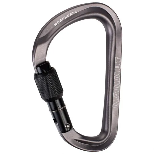 Mammut - Workhorse HMS Carabiner - HMS-Karabiner grau