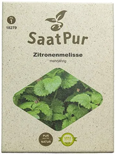 SaatPur Zitronenmelisse Samen, Saatgut für ca. 250 Pflanzen