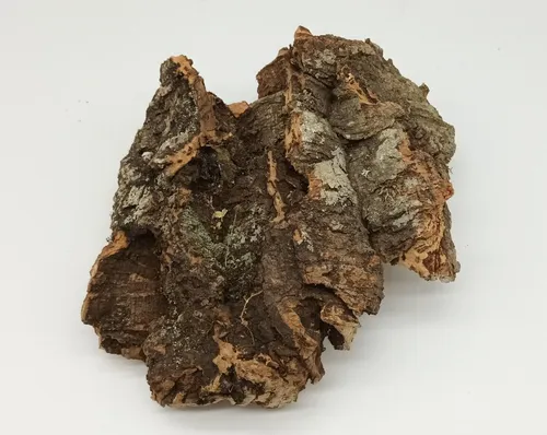 Kork Sitz- und Kletter Stück aus 100 % Kork Baumrinde, Terrarien, Nager 1 x