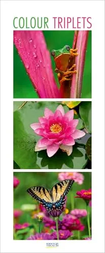 Colour Triplets 2026: Schmaler Wandkalender mit Foto-Kunst von Korsch Verlag