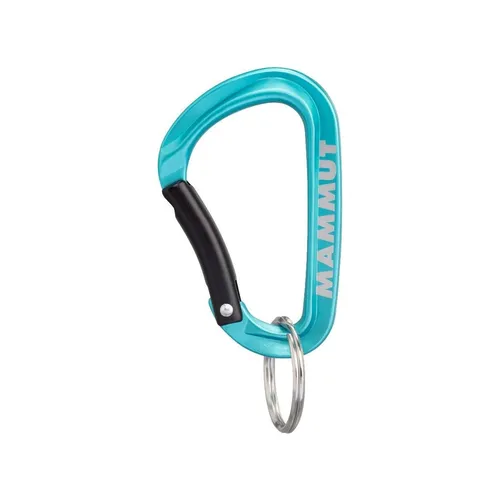 Karabiner Blau von Mammut