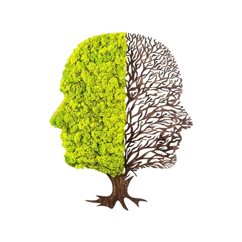 Wandbehänge aus 100 % MDF mit Moos in Grün und Braun