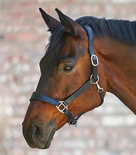 WALDHAUSEN X-Line Lederhalfter Anatomic, WB, schwarz