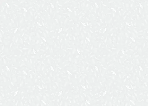 Heyda Transparentpapier 'Blätter', 50 x 70 cm, Weiß, Ideal für Grußkarten und Geschenke