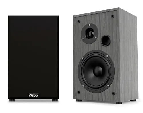 Wiibo String 10 Altavoces HiFi Estantería 100w Bass Reflex. Pareja