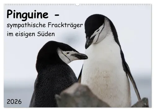 Anna-Barbara Utelli | Pinguine – Faszinierende Frackträger im Kalenderformat - Kalender 2025 mit 14 Seiten, zeigt beeindruckende Aufnahmen verschiedener Pinguinarten aus Südgeorgien. Ideal für Naturliebhaber und Kunstfreunde!