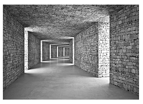 WallArena Vlies Fototapete Tunnel Grau 416x254 cm - Moderne Tapete für Wohnzimmer und Schlafzimmer: Diese strapazierfähige Vlies Fototapete mit 3D-Effekt sorgt für einen einzigartigen Look und einfache Montage – inkl. Kleister!