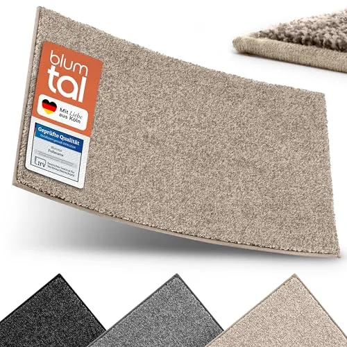 Blumtal Fußmatte 50x80 cm - Mikrofaser Schmutzfangmatte mit wasserdichter TPR-Rückseite - rutschfeste Fussmatte innen - Schmutzmatte aus Hochleistungs-Mikrofaser - Türvorleger in Beige