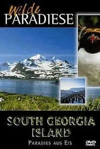 South Georgia Island - Paradies aus Eis