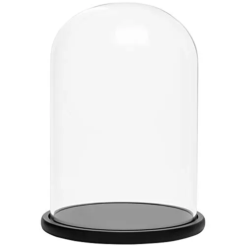 BELLE VOUS Glas Glocke Glaskuppel Groß mit Holzboden Schwarz – 30cm - Präsentationssockel: Stilvolle Glaskuppel mit schwarzem Holzboden, ideal zum Ausstellen und Schützen von Sammlerstücken oder Pflanzen.
