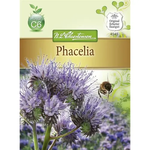 Chrestensen Phacelia Bienenweide Gründüngung