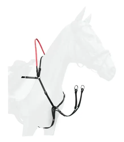 Zaumzeug Schwarz von Waldhausen