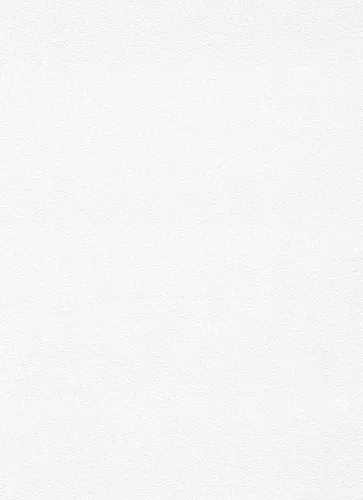 Erismann Vliestapete Putzstruktur weiß 15 x 0,53 m