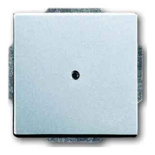 Busch-Jaeger Zentralscheibe alusi m.Tragr.f.Ltgsauslaß 1749-83