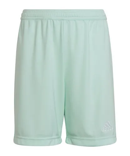 Shorts Grün von adidas Performance