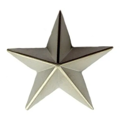FahnenMax® Pin Anstecker Stern silberfarben in silber von FahnenMax