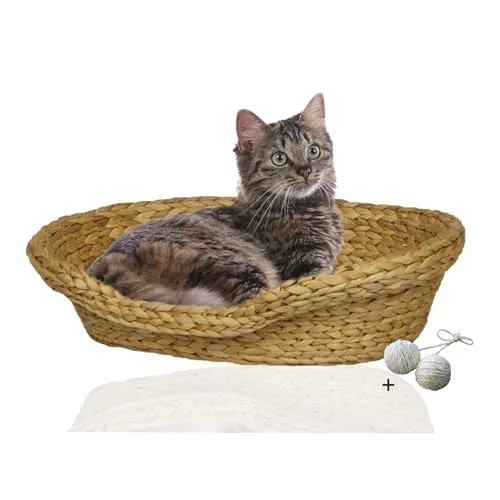 Rohrschneider Katzenkorb von Rohrschneider