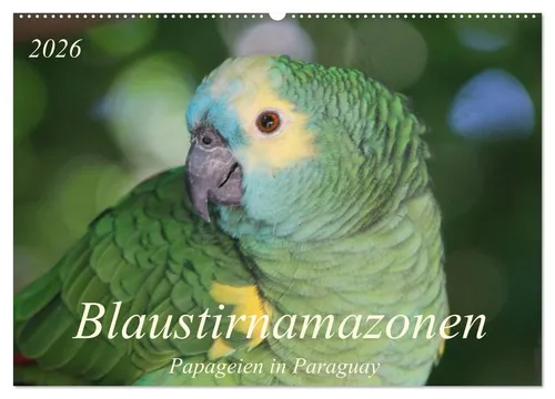 Bettina Schneider | Blaustirnamazonen - Wandkalender 2025 - Dieser Wandkalender zeigt beeindruckende Blaustirnamazonen in Paraguay, mit 14 Seiten für jedes Monat. Ideal für Naturfreunde und Tierliebhaber, bringt er Farbe und Freude in Ihr Zuhause.