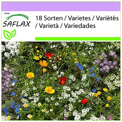 SAFLAX - Wildblumen: Kleine Gartenzwerge - 1000 Samen - 18 Wildflower Mix