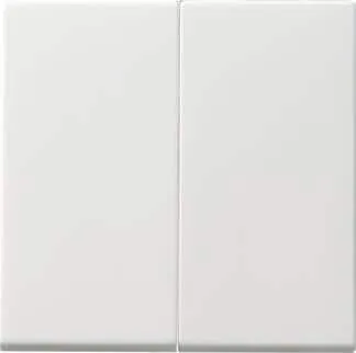 Gira 091503 Wippe, 2fach, für Tastschalter, System 55, reinweiß glänzend