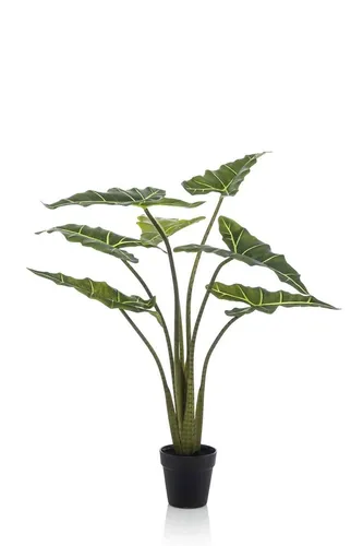 Künstliche Zimmerpflanze Alocasia Sanderiana MUNAY im Dekotopf, 100cm - Stilvolle, grüne Alocasia Sanderiana von artplants, ideal für die Dekoration. Pflegeleicht und langlebig, perfekt für den Innenbereich geeignet.