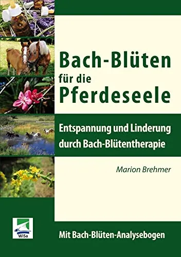 Bach-Blüten für die Pferdeseele: Entspannung und Linderung durch Bach-Blütentherapie