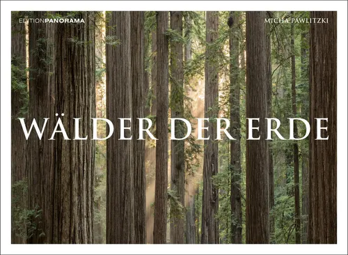 WÄLDER DER ERDE: Immerwährender Kalender im Großformat 80 x 60 cm - Wandkalender im Großformat 80 x 60 cm, zeigt beeindruckende Waldlandschaften und ist ideal für eine stimmungsvolle Raumgestaltung.