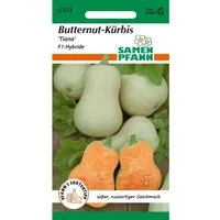 SAMEN PFANN Butternut-Kürbis Tiana F1