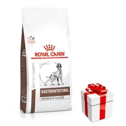 Royal Canin CCN Maxi Digestive Adult Care 12kg - Hundefutter für adulte Hunde aller Größen, unterstützt die Verdauung und sorgt für eine optimale Nährstoffaufnahme.