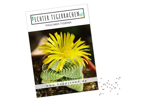 HappySeed Blumensamen Exotische Kakteen Samen mit hoher Keimrate - Echter Tigerrachen, Kakteen