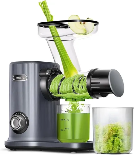 Slow-Juicer bis 100 Euro von Amzchef