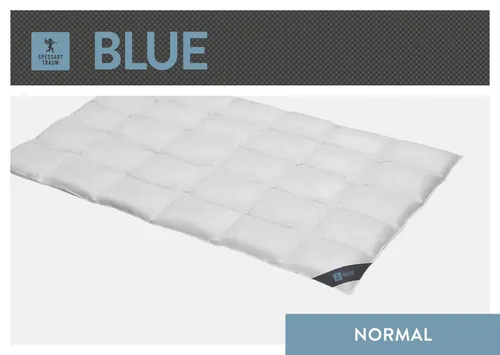 SPESSARTTRAUM Daunenbettdecke Blue, 200x200 cm - Winterdecken, allergikerfreundlich mit DOWNPASS-Zertifizierung für höchste Tierschutzstandards und beste Qualität, ideal für einen warmen, erholsamen Schlaf.