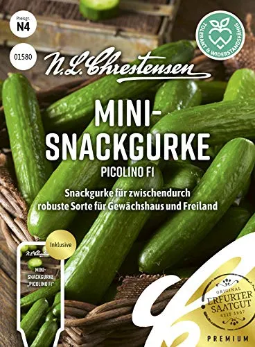 Mini- Snackgurke Picolino F1 Samen, Saatgut
