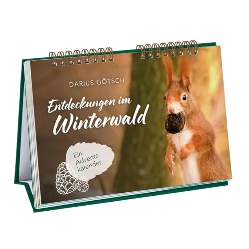 Entdeckungen im Winterwald: Ein Adventskalender