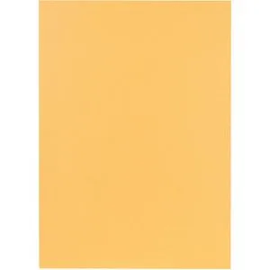 Falken Aktendeckel 80001233, A4, chamois, 250 g/m² Recycling-Karton, für 300 Blatt