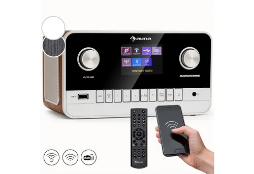 Auna Connect 100 MKII Radio (DAB+,UKW, 10 W)