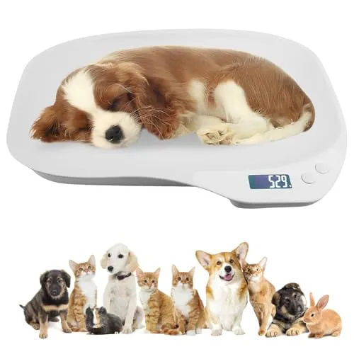 WIYETY Tierwaage für Kleine Tiere: Digitale Haustierwaage 15Kg (±1gram), LCD Digitale Katzenwaage mit 4 Wiegemodi (kg/oz/lb/ml), Kleine Digitalwaage von Kleinen Katzen Hunden Futter(36 x 26cm)