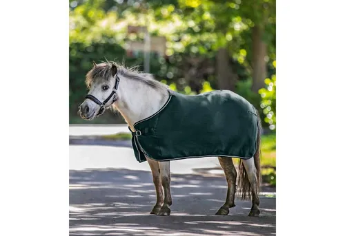 WALDHAUSEN Fleecedecke Economic, tannengrün, 165 cm