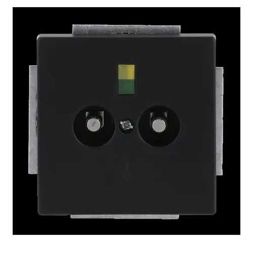 Busch-Jaeger Steckdosen Schwarz von Busch-Jaeger Potentialausgleich