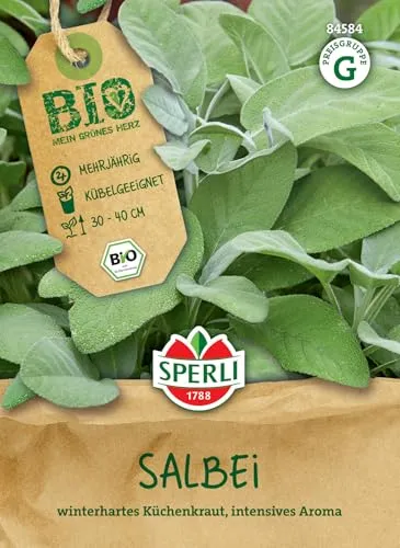 Sperli BIO Salbeisamen 84584 - BIO - mehrjährig - Kübelgeeignet - winterhartes Küchenkraut - intensives Aroma - 30-40cm - Saatgut, Samen Kräuter