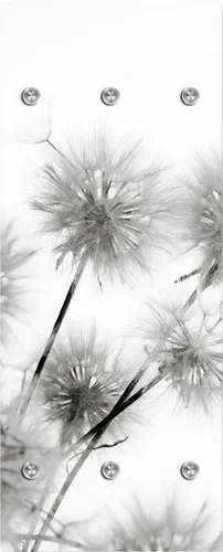 queence Garderobenleiste Pusteblumen in grau von queence