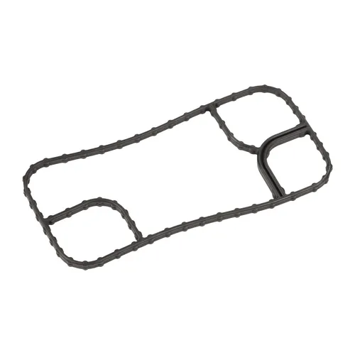 Dichtung Wärmetauscher 50050982