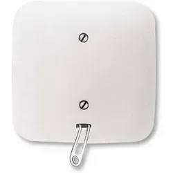 Busch-Jaeger 2610/6 UJ-214 Zugschalter - Smart Home Zugschalter für Aus- und Wechselschaltung, mit hochwertiger Komplettabdeckung in alpinweiß, ideal für moderne Haussteuerungen.