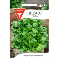 FRANKONIA Feldsalat Match