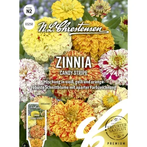 Zinnia Candy Stripe Samen, Saatgut von N.L. Chrestensen
