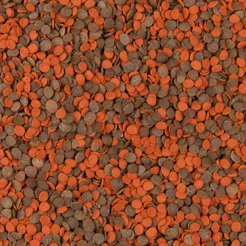 Tropical Fischfutter von Tropical