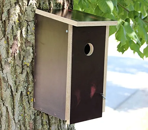 großer nesträubersicherer Stabiler Nistkasten Vogelhaus Nisthaus