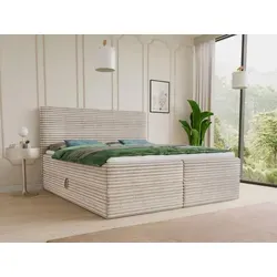 Boxspringbett Mollo 140x200 cm mit Bettkästen von Sofnet